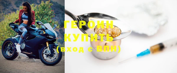 гидра Няндома