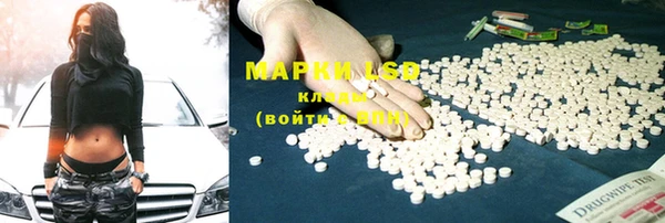 гидра Няндома